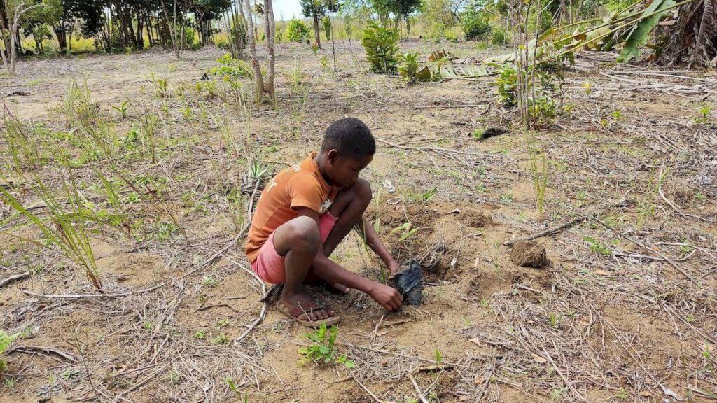 boy planting a tree