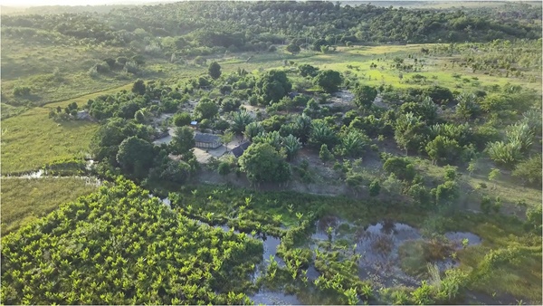 aerial view schoolgarden